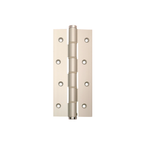 Single Action Spring Hinge 180mm