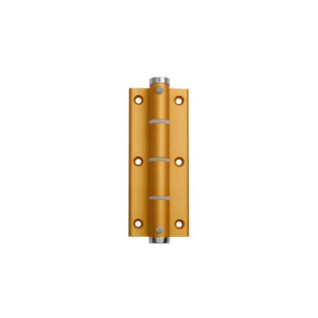 Schachtel frontal Federscharnier 120x48